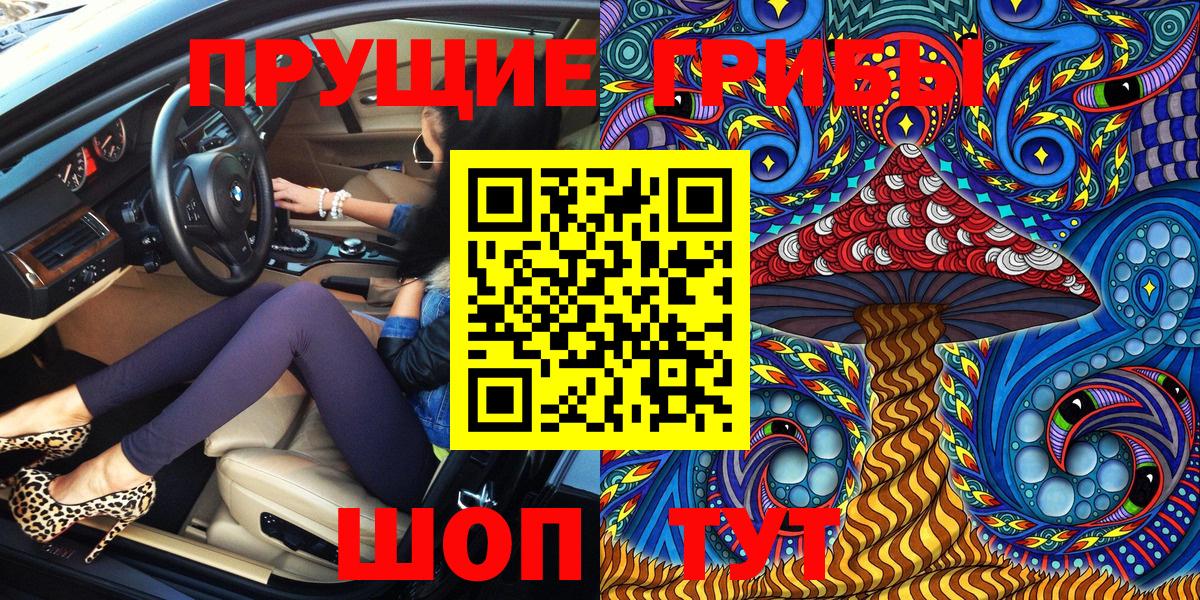 Псилоцибиновые грибы Psilocybe  Вход с VPN  Тихвин 