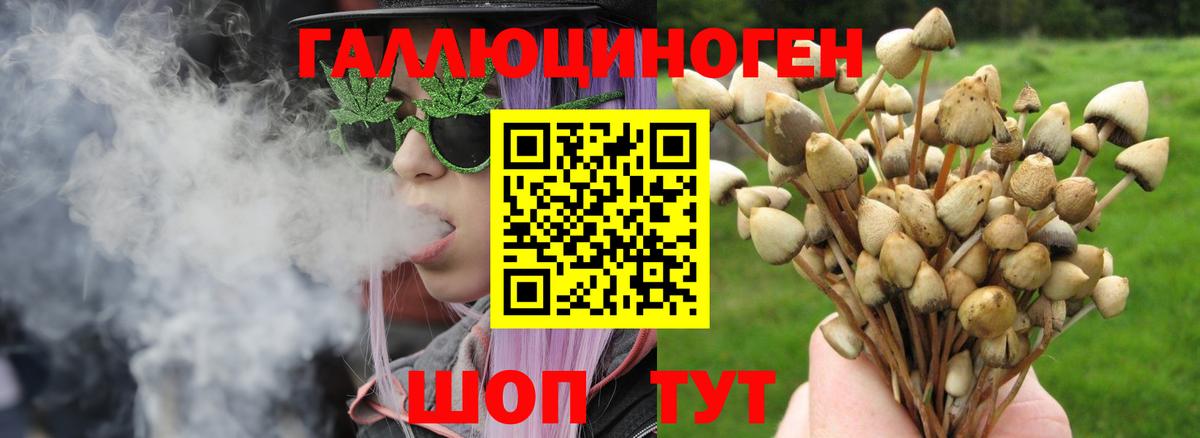 Псилоцибиновые грибы MAGIC MUSHROOMS Тихвин